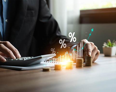 Investment Growth Analysis